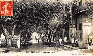 1239- Alger - Belcourt - Allee des muriers